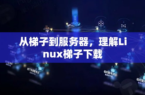 从梯子到服务器,理解Linux梯子下载 从梯子到服务器,理解Linux梯子下载