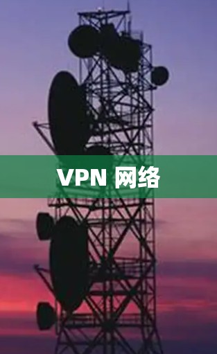 VPN 网络 VPN 网络