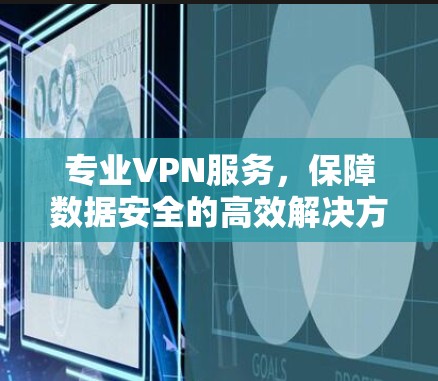 专业VPN服务,保障数据安全的高效解决方案 专业VPN服务,保障数据安全的高效解决方案