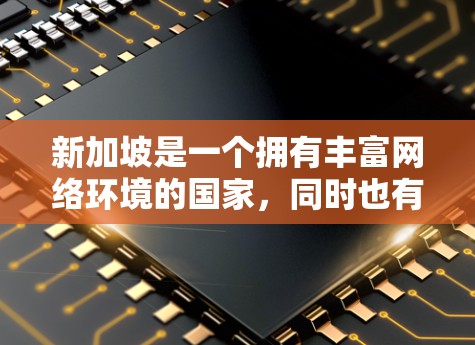 新加坡是一个拥有丰富网络环境的国家，同时也有许多非法VPN服务。然而，这些服务通常都是非法的，可能会涉及到网络攻击、钓鱼网站等。以下是一些可能的非法VPN服务来源，供您参考
