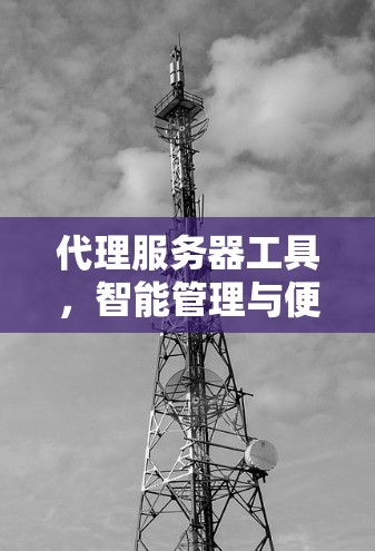 代理服务器工具，智能管理与便捷服务