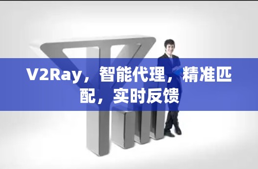 V2Ray,智能代理,精准匹配,实时反馈 V2Ray,智能代理,精准匹配,实时反馈
