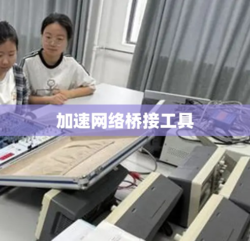 加速网络桥接工具 加速网络桥接工具