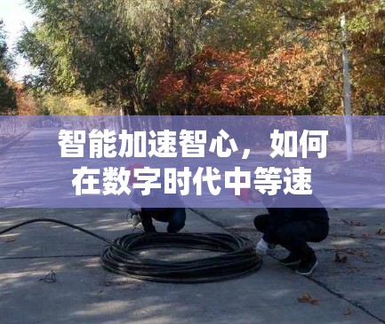 智能加速智心,如何在数字时代中等速 智能加速智心,如何在数字时代中等速