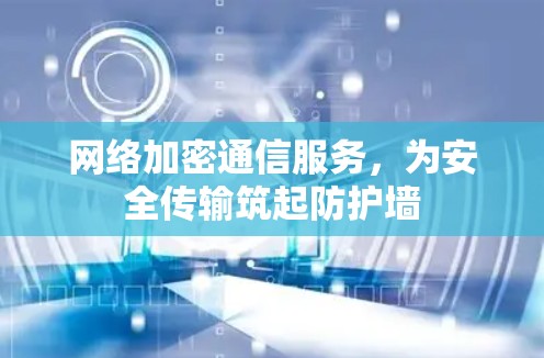 网络加密通信服务,为安全传输筑起防护墙 网络加密通信服务,为安全传输筑起防护墙