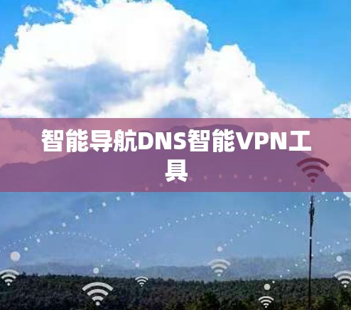 智能导航DNS智能VPN工具 智能导航DNS智能VPN工具