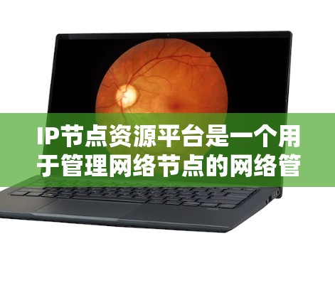 IP节点资源平台是一个用于管理网络节点的网络管理软件，主要用于处理路由器、交换机等网络设备的配置和管理。以下是对该平台的详细介绍